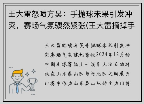 王大雷怒喷方昊：手抛球未果引发冲突，赛场气氛骤然紧张(王大雷摘掉手套扑点球)