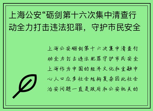 上海公安“砺剑第十六次集中清查行动全力打击违法犯罪,守护市民安全