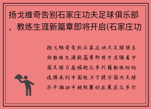 扬戈维奇告别石家庄功夫足球俱乐部，教练生涯新篇章即将开启(石家庄功夫足球队)