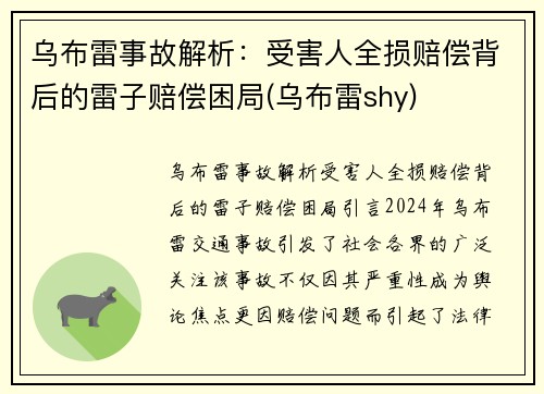 乌布雷事故解析：受害人全损赔偿背后的雷子赔偿困局(乌布雷shy)